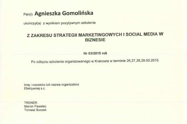 Efektywniej - strategia marketingowa i social media w biznesie - Agnieszka Gomolińska